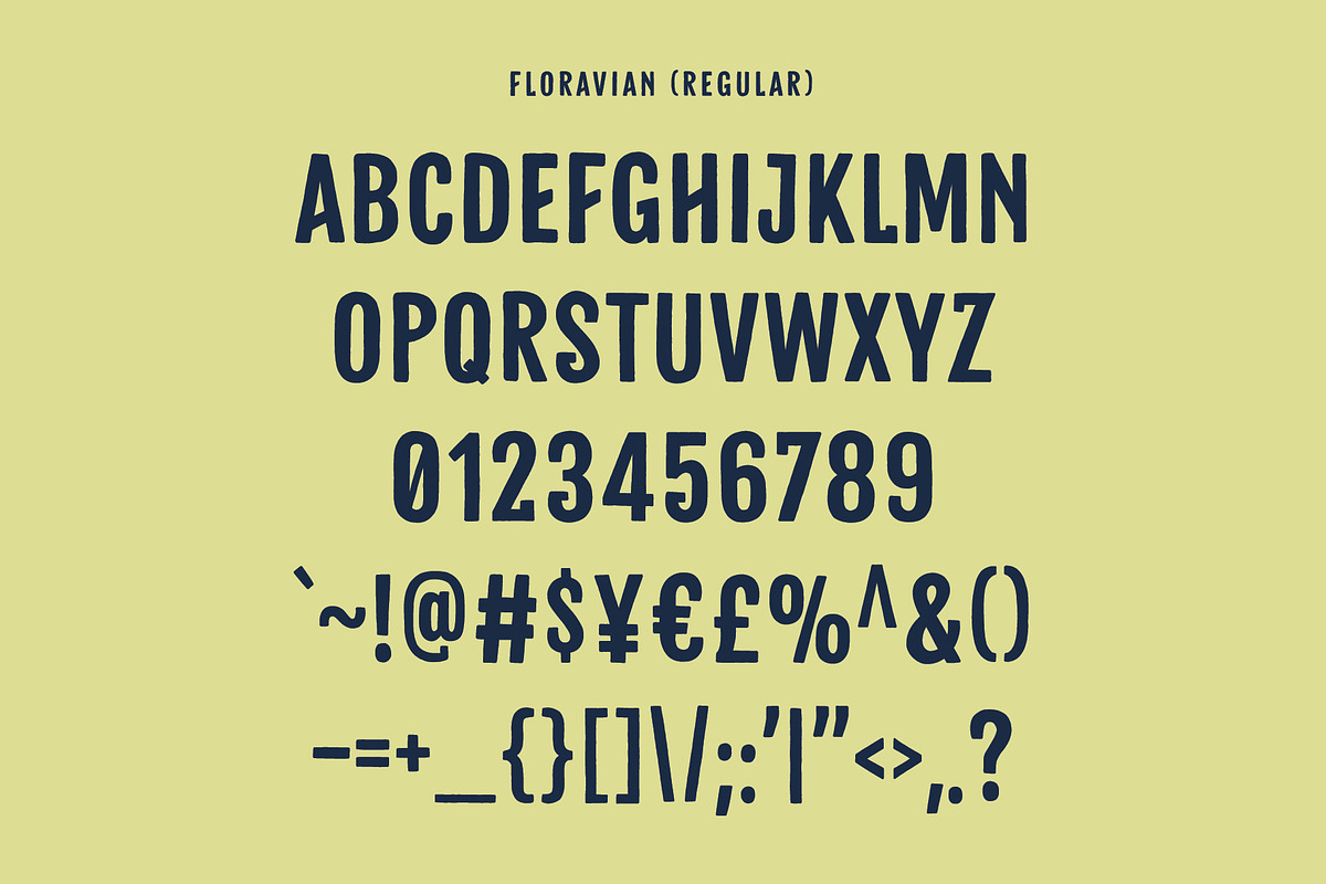 FLORAVIAN - Extra Illustrations preview 4