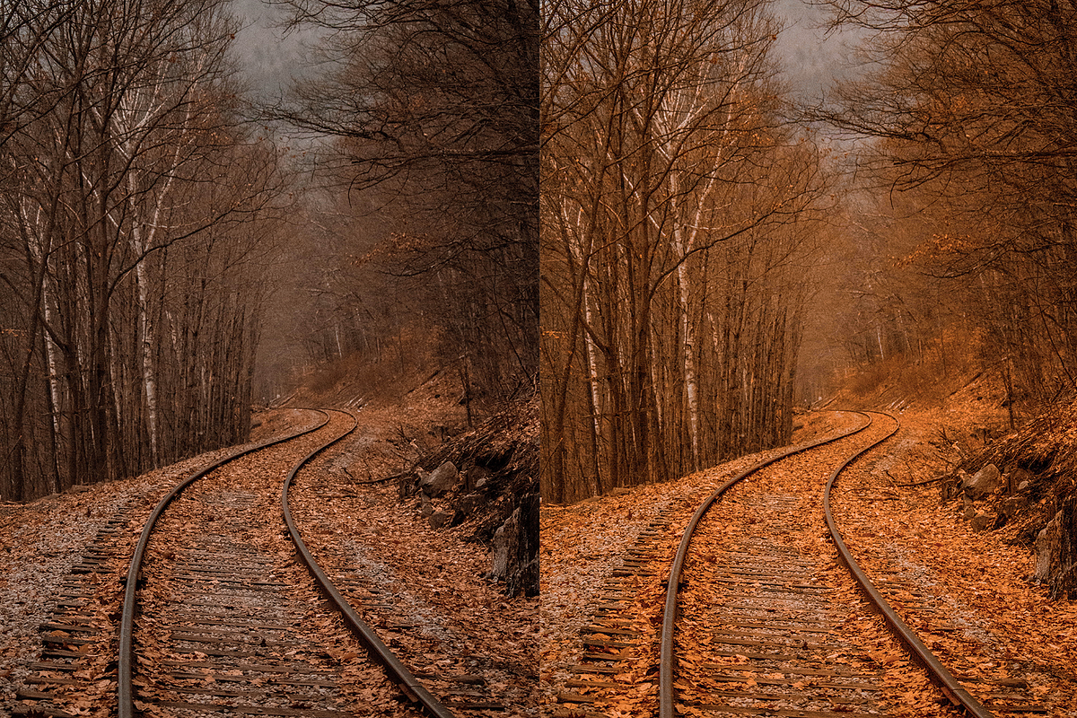 4 Autumn Lightroom Presets, a Preset Add-On by AnagramDesign (Photo 4 of 8)