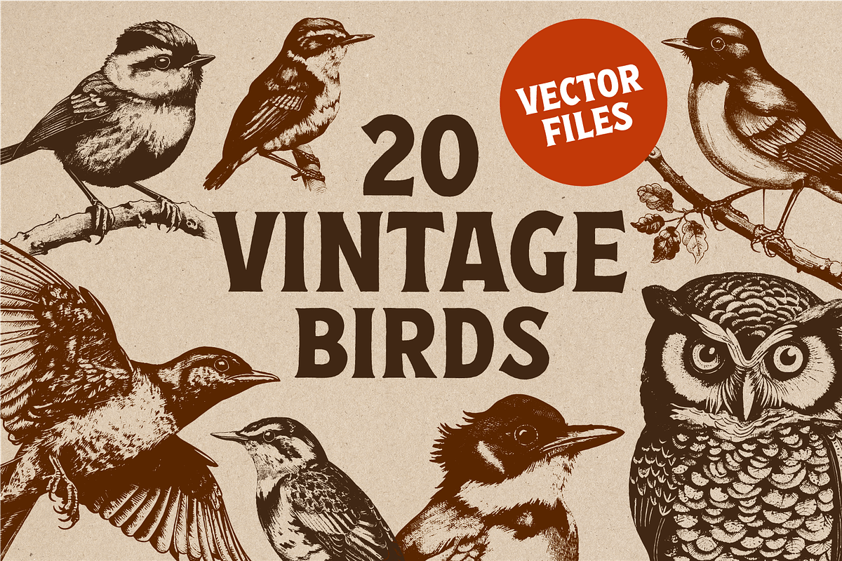 20 Vintage Birds Vector Graphics, a Graphic by Vectorian (Photo 1 of 4)