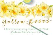 Yellow Roses -single species package, a Work Illustration by watercolorwild.graphics (Thumbnail 1 of 6)