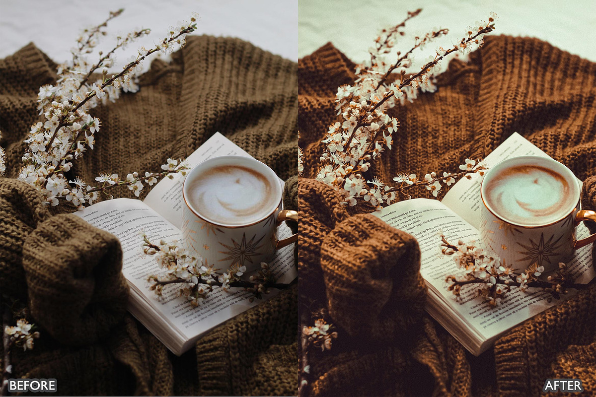 Coffee Brown Lightroom Preset Pack, a Preset Add-On by AAA Presets (Photo 6 of 25)
