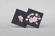 Apricot Branches Big Floral Set, an Illustration by MarynaPetrovska (Thumbnail 17 of 23)