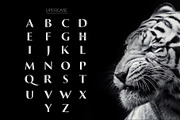 Invictus - Serif Typeface, a Sans Serif Font by Graphicado (Thumbnail 4 of 13)