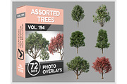 72 Assorted Trees Photo Overlays, a Nature Photo by KenScape (Thumbnail 1 of 3)