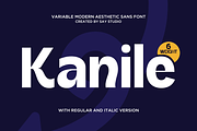 Kanile - Family Aesthetic Sans Font, a Sans Serif Font by Say Studio (Thumbnail 1 of 11)