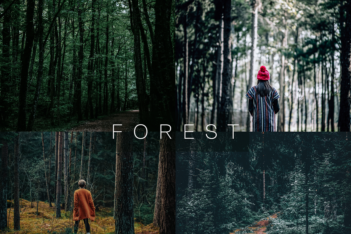 10 Forest Lightroom Presets, a Preset Add-On by RamsaGraphi (Photo 1 of 10)