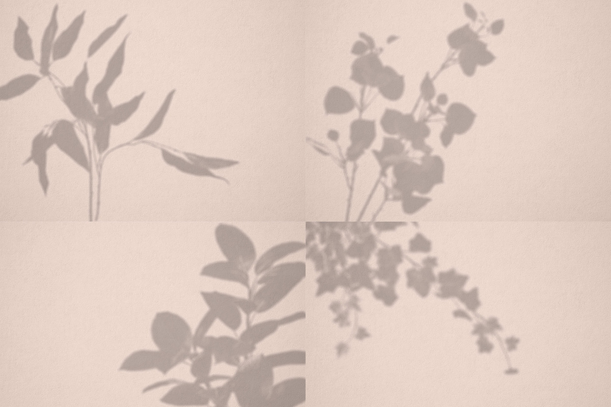 Botanical Shadow Overlays Bundle, a Graphic by denofdreamers (Photo 2 of 4)