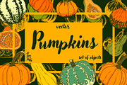 Pumpkins collection, an Object Illustration by Elena Mykhailenko (Thumbnail 1 of 4)