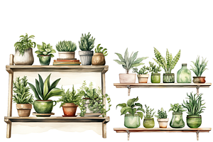 Plants Watercolor Clipart