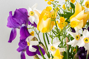 Irises and yellow ranunculus, a Nature Photo by Pundateam