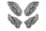 Vector Wings, an Object Graphic by Aquatinta (Thumbnail 3 of 4)