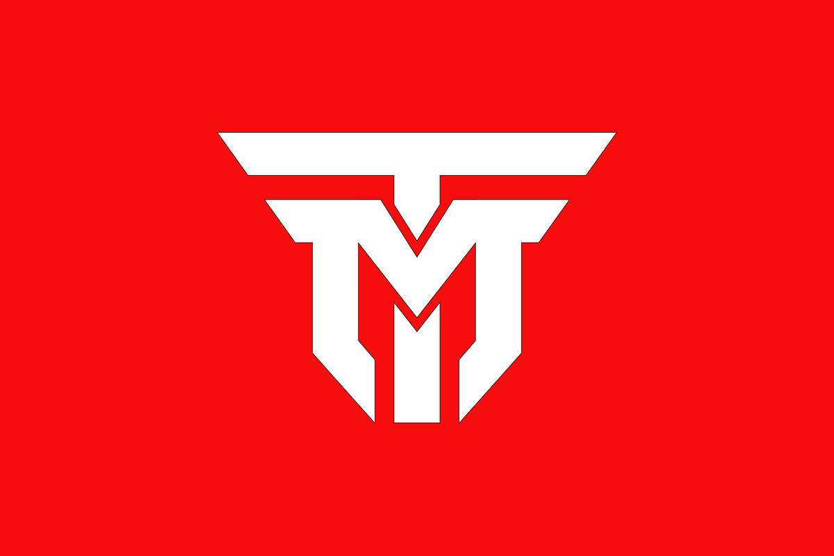 TM Monogram Logo, a Branding & Logo Template by kidzdsgn (Photo 5 of 8)
