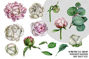 Watercolor pink peonies clipart, an Illustration by yana.fefelova (Thumbnail 2 of 5)