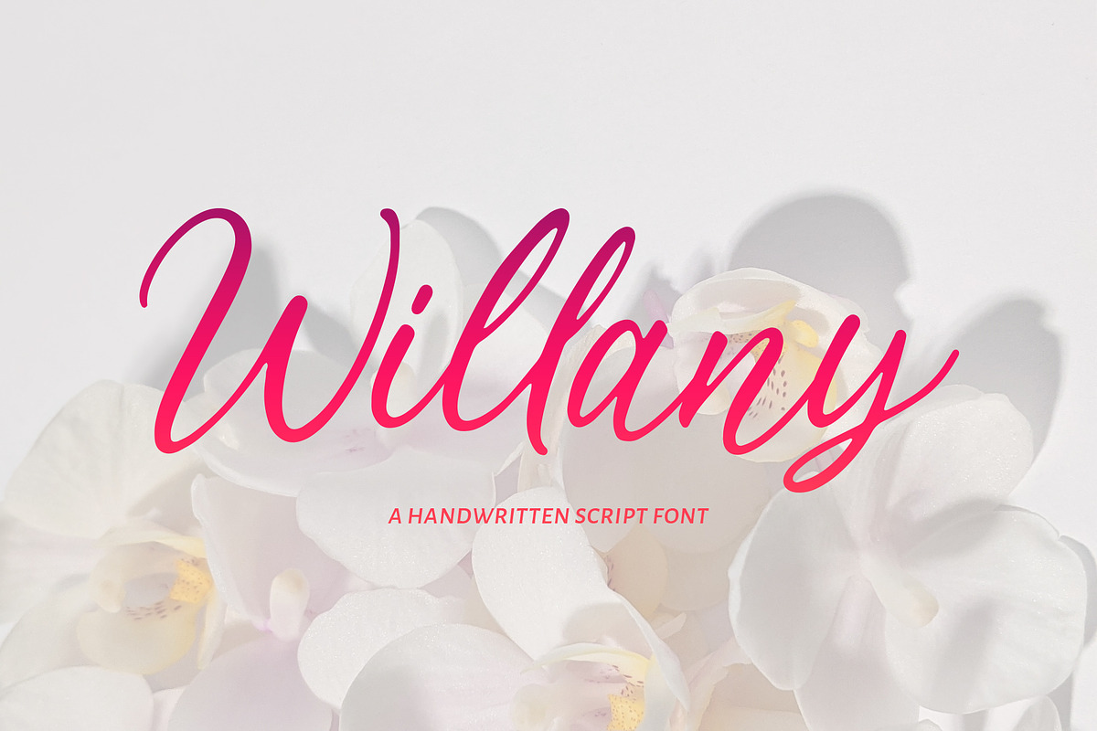 Willany - Handwritten Font, a Handwritten Font by Alphaleonis_std (Photo 1 of 7)