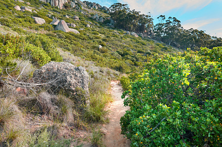 Mountain trail - Table Mountain National Park, a Photo by Peopleimages.com