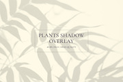 Plants Shadow Overlay, a Background Graphic by M9 Design (Thumbnail 3 of 11)