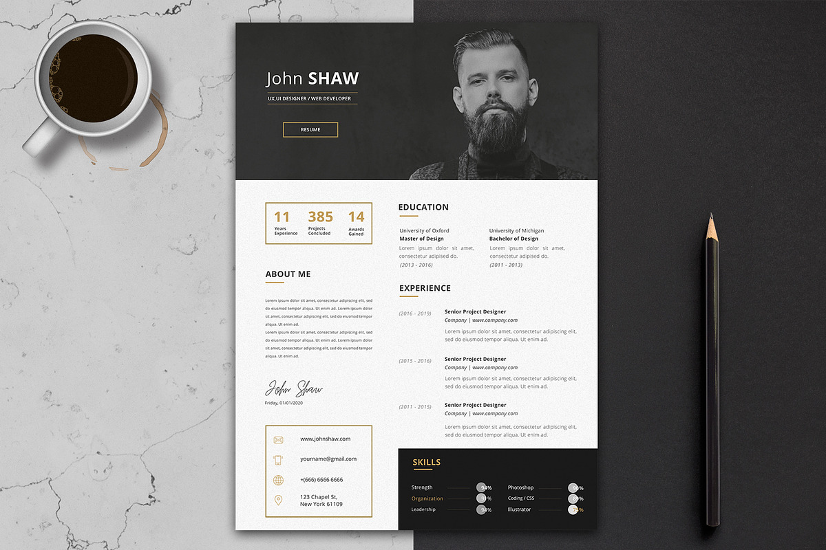 Gemini Resume Template, a Resume Template by Nina Shaw (Photo 1 of 9)