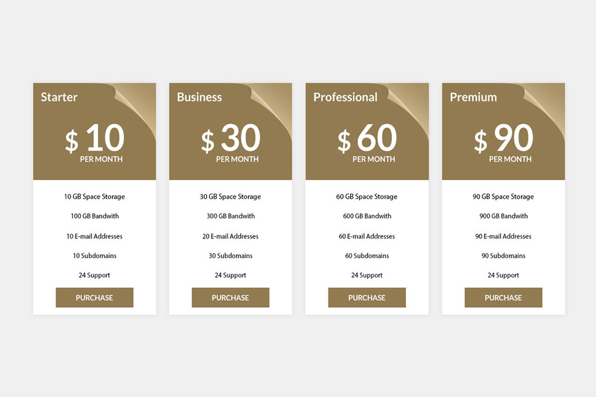 Pricing Table, a Templates & Theme by Youme Techworld (Photo 5 of 8)