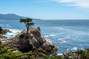 Lone cypress featuring lone, cypress, and monterey, a Nature Photo by Travel Camera