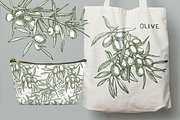 Olive branches vector illustration, a Food Illustration by Ann Astro (Thumbnail 6 of 7)