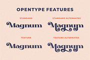Blize Queen - Display Serif Font, a Sans Serif Font by PutraCetol Studio (Thumbnail 6 of 11)