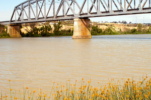 Murray Bridge, an Architecture Photo by THP Creative