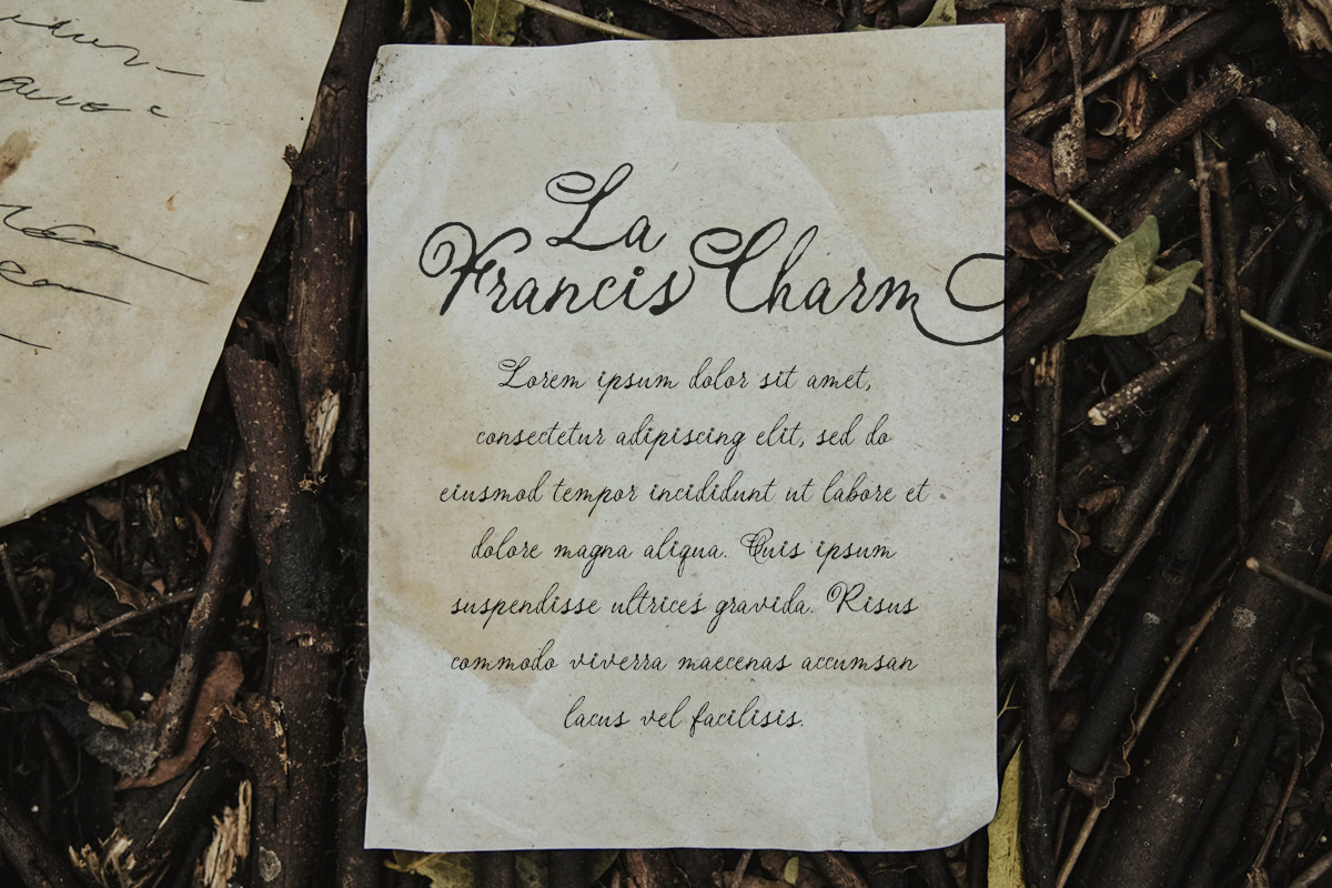 Enchanted Vintage Distressed Script, a Script Font by Littlehand (Photo 6 of 9)