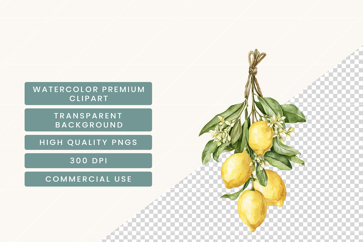 Watercolor Lemon Clipart Bundle, an Object Illustration by BusyDaydesign (Photo 7 of 9)