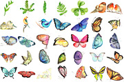 Butterfly BUNDLE 90 Watercolor PNG, a Decorative Illustration by LilyBoo Clipart (Thumbnail 2 of 4)