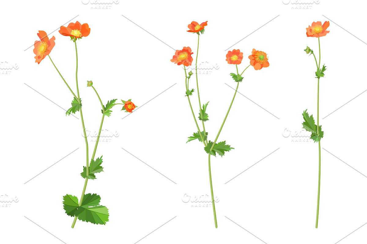 Vector object brushes. Geum. preview 6