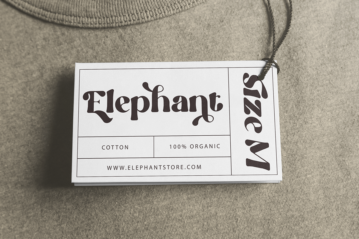 Praline - Modern Retro Font, a Serif Font by Font Liner (Photo 10 of 13)