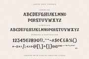 Gentleman Serif Business Font, a Serif Font by Creatype Studio (Thumbnail 9 of 9)