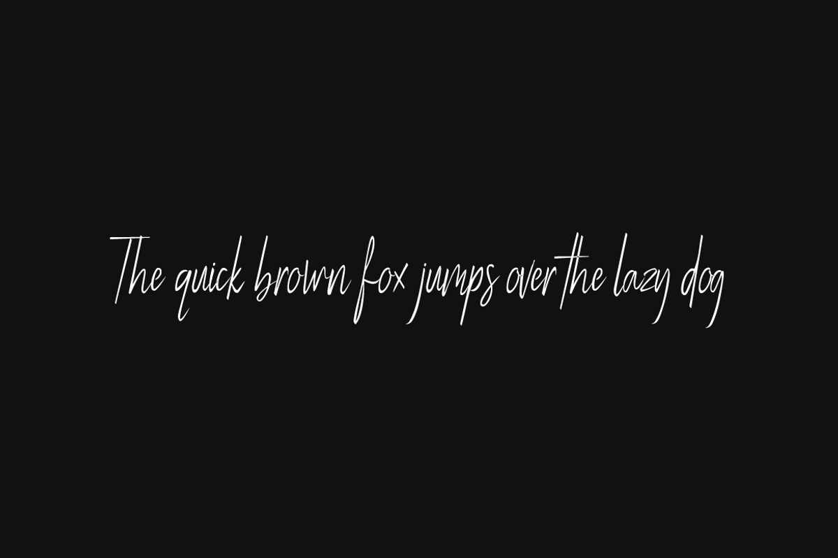 Magnetta - Handwritten Luxury Font preview 4