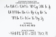 Fantastic Wedding, a Handwritten Font by FreshTypeINK (Thumbnail 1 of 8)