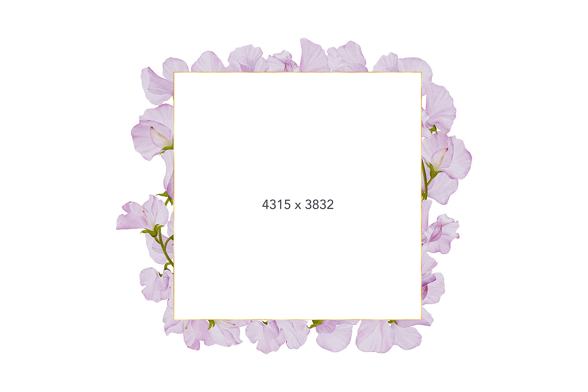 30% Off - Sweet Pea Watercolor, an Object Graphic by bloomscape (Photo 7 of 13)