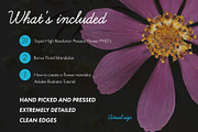 Pressed Flowers Floral Collage Kit, an Object Graphic by Tara Leigh Designs (Thumbnail 2 of 6)