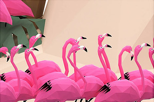 Flamingos