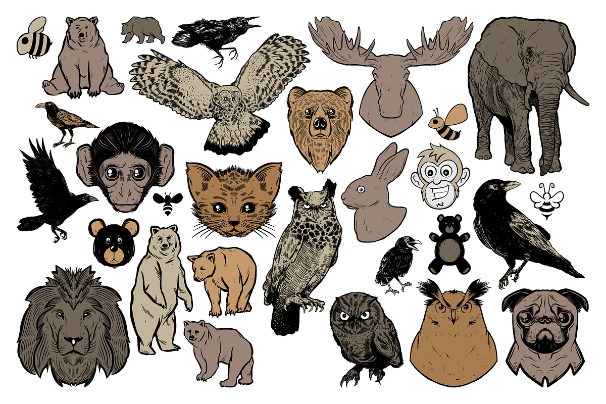 Paws & Wings Vector Animals, an Animal Illustration by Vectory by BSC (Photo 2 of 3)