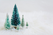 Woodland Ornaments Stock Photos, a Business Photo by CarmenCreativeStudio (Thumbnail 2 of 3)