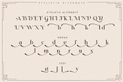 Quitos, a Serif Font by Nathatype (Thumbnail 10 of 10)