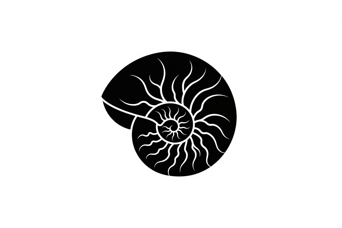 Shell Silhouette Vector Bundle, an Illustration by hafijul (Photo 31 of 48)