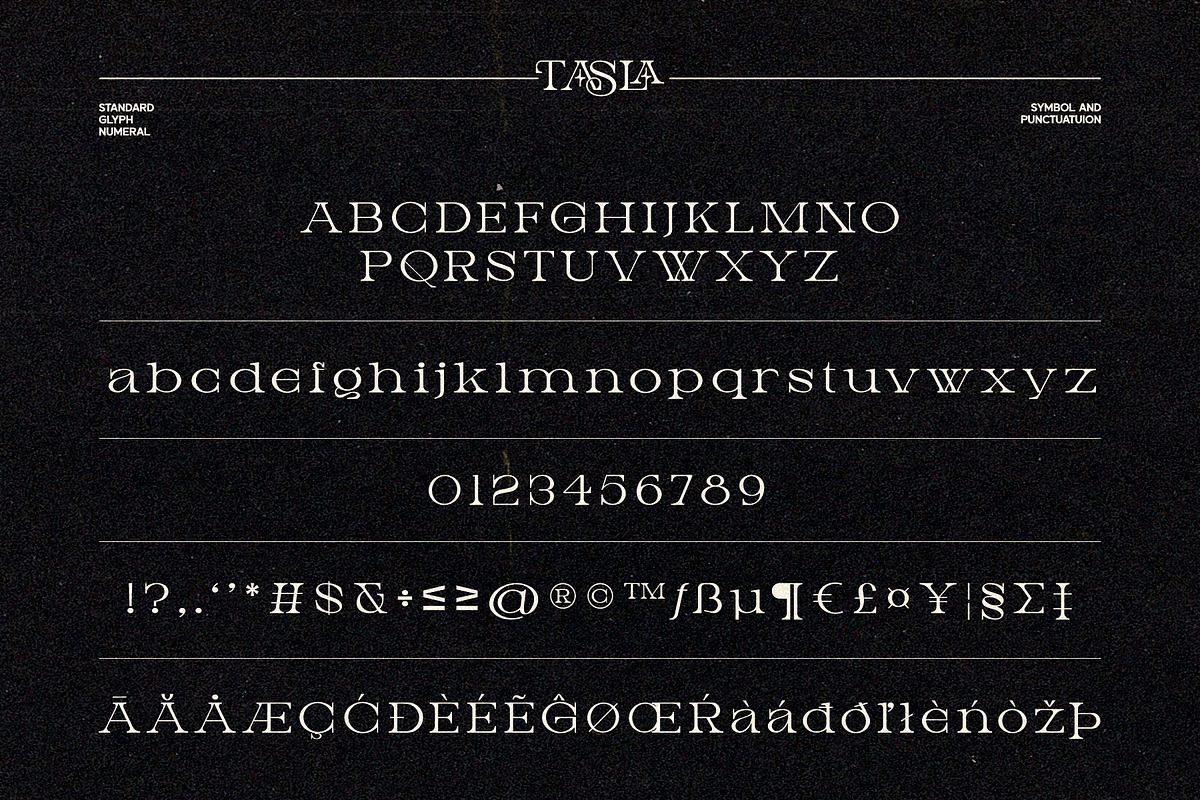 Tasla Decorative Font, a Serif Font by Eotype Studio (Photo 7 of 9)