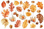 Harvest Thanksgiving fall clipart, a Decorative Illustration by Hanna Hryharenka (Thumbnail 3 of 20)