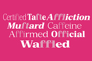 Bruchey Serif, a Serif Font by Fargun Studio (Thumbnail 14 of 15)