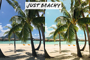 Beach Lovers Preset, an Action Add-On by Persnickety Prints (Thumbnail 2 of 4)