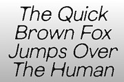 CS Rodney Pixel, a Sans Serif Font by Craft Supply Co. (Thumbnail 5 of 8)