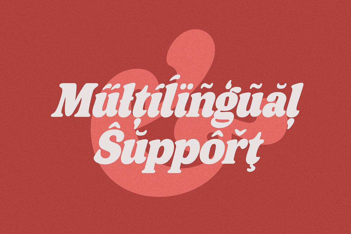 Axstura Jm, a Serif Font by joelmaker (Photo 16 of 31)