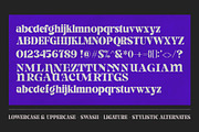 Gimela, a Serif Font by Gatype (Thumbnail 10 of 10)