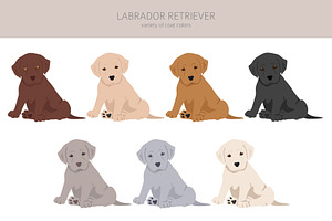 Labrador Retriever Clipart