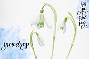 Spring flowers. Watercolor set., an Illustration by maritime_m (Thumbnail 2 of 7)